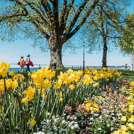 Seeblick - Mit Parkgarage Appartamento *