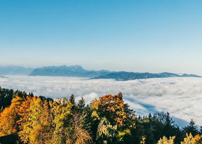 Seeblick - Mit Parkgarage Apartment Bregenz