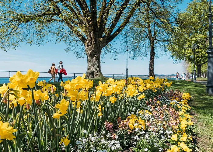 Seeblick - Mit Parkgarage Apartment *